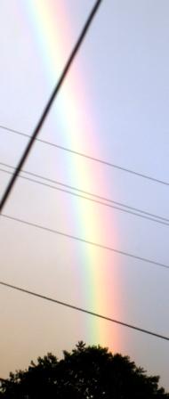 Hilo Rainbow